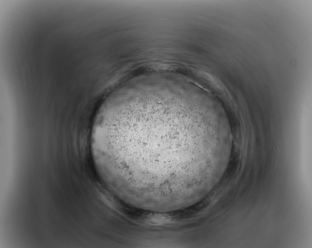 X0000088150409200705211200