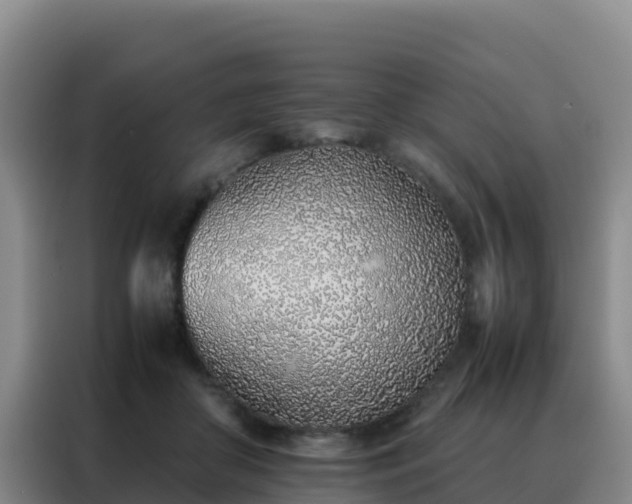 X0000088150410200705211200