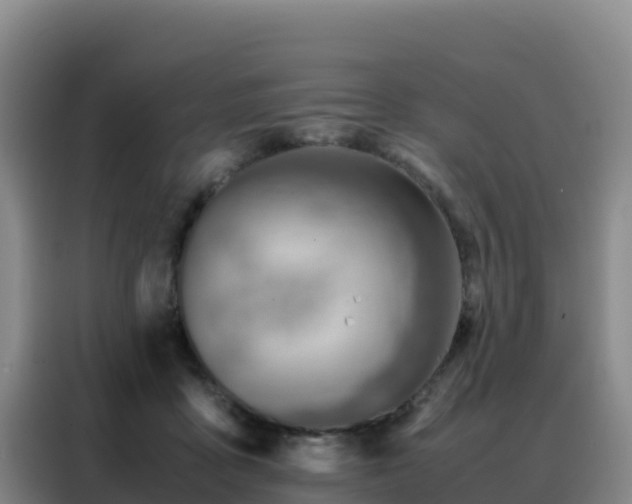 X0000088150411200705211200