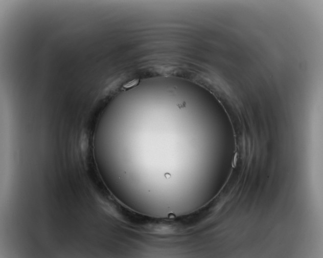 X0000088150412200705211200