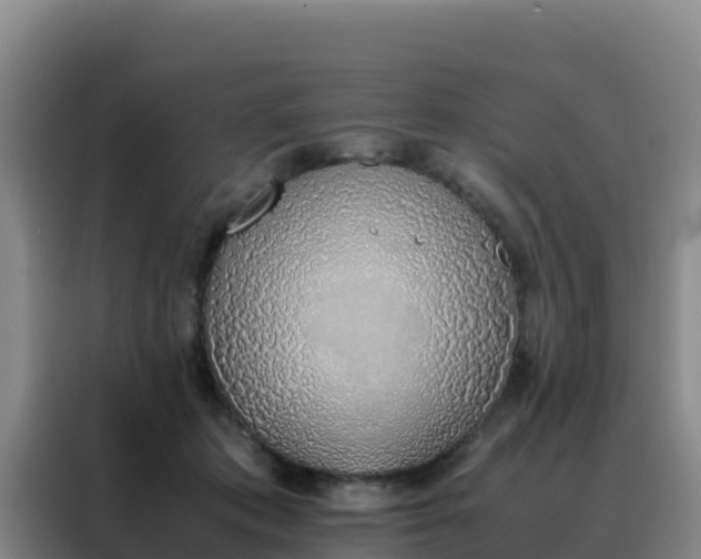 X0000088150413200705211200