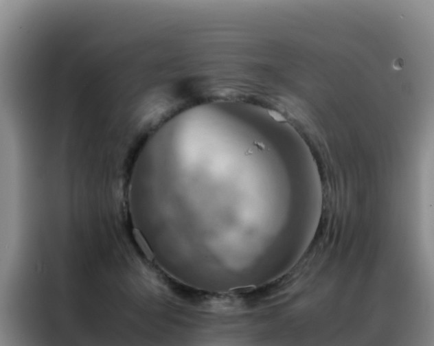 X0000088150415200705211200