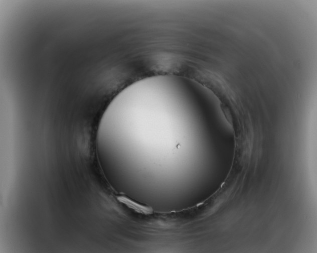 X0000088150416200705211200