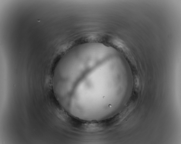 X0000088150419200705211200