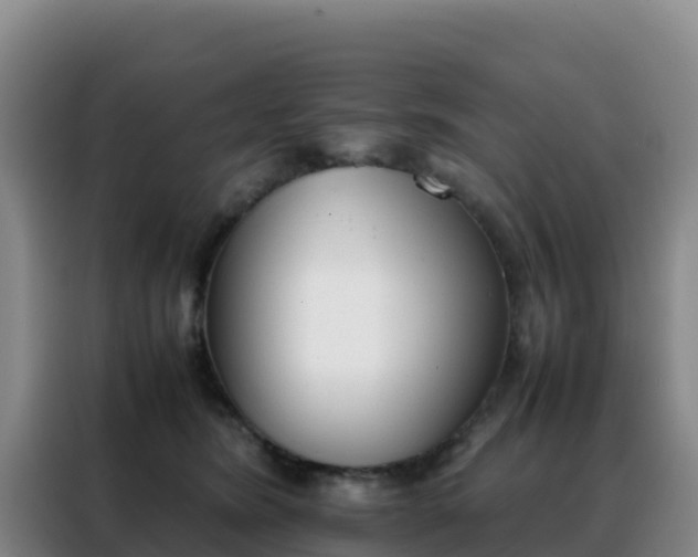 X0000088150420200705211200