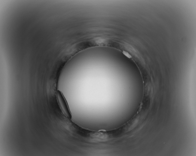 X0000088150421200705211200