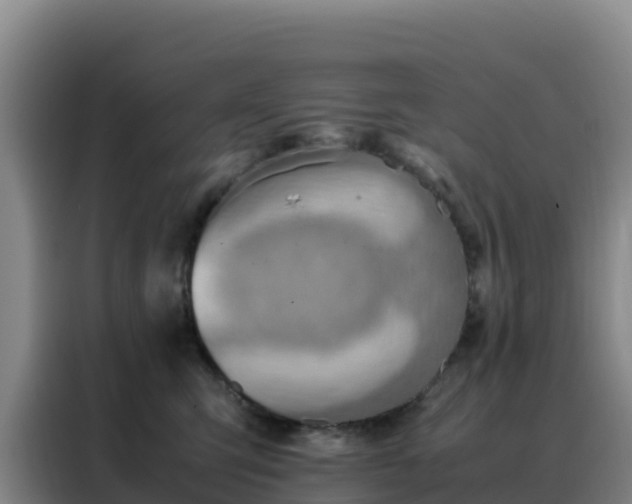 X0000088150423200705211200