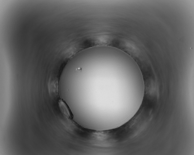 X0000088150425200705211200