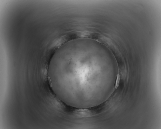 X0000088150427200705211200