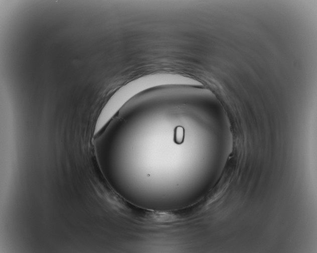 X0000088150429200705211200