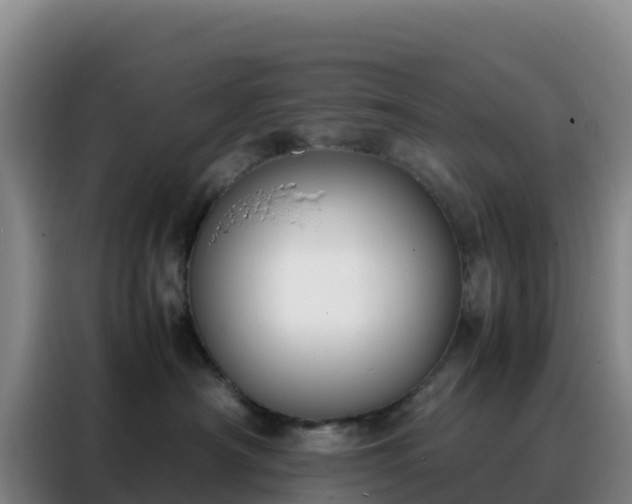 X0000088150430200705211200