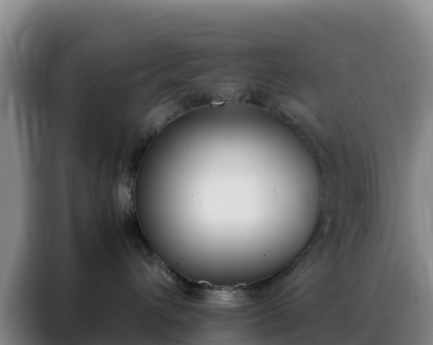 X0000088150432200705211200