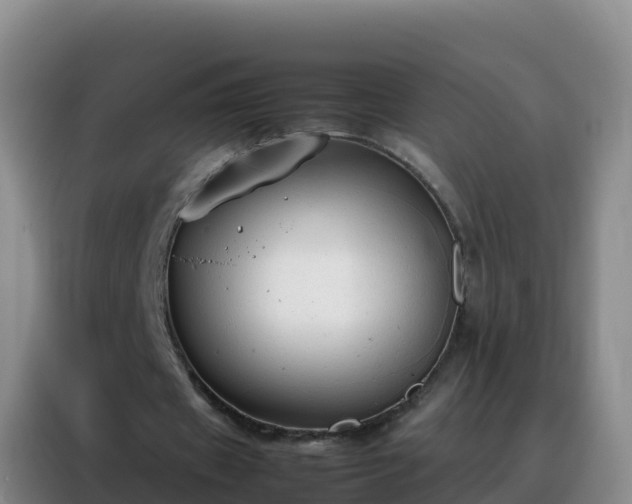 X0000088150433200705211159