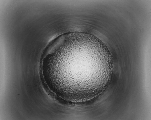 X0000088150434200705211159