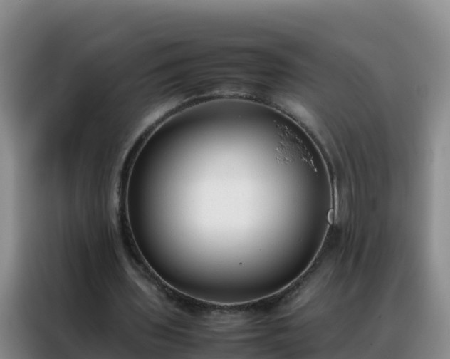 X0000088150435200705211159