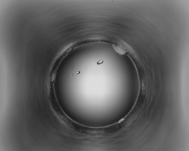 X0000088150436200705211159