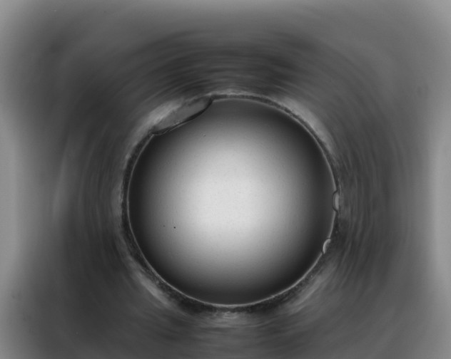 X0000088150437200705211159