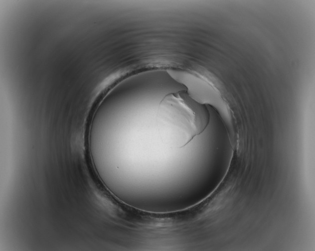 X0000088150438200705211159