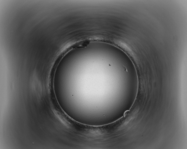 X0000088150439200705211159