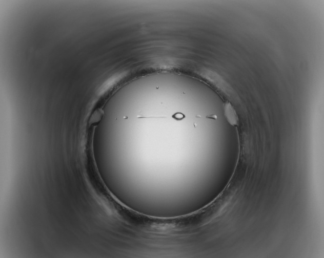 X0000088150440200705211159