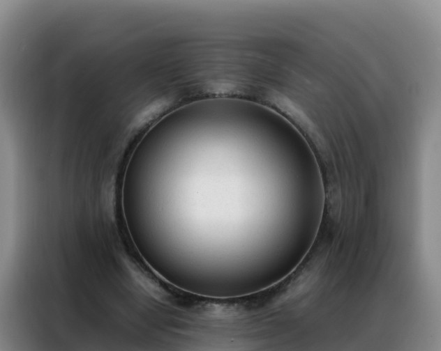 X0000088150442200705211159