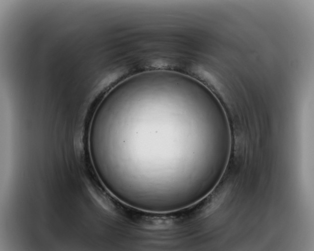 X0000088150443200705211159