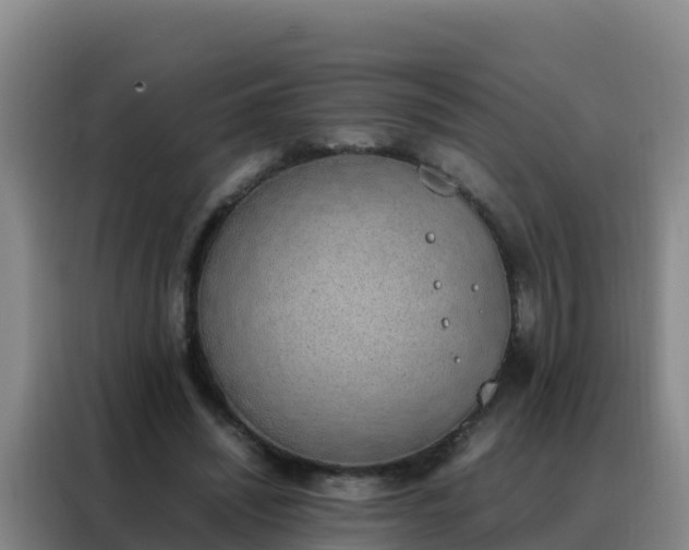 X0000088150444200705211159