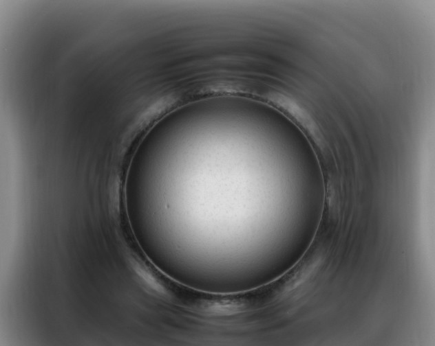 X0000088150445200705211159