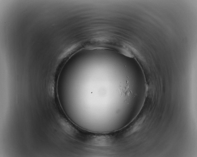 X0000088150446200705211159