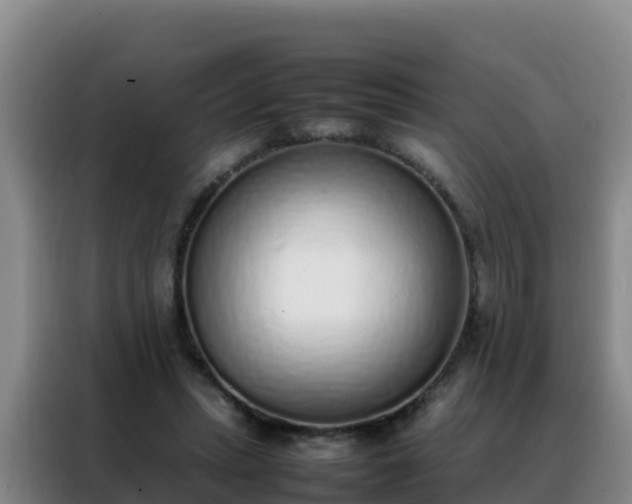 X0000088150447200705211159