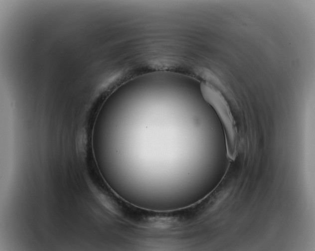 X0000088150448200705211159