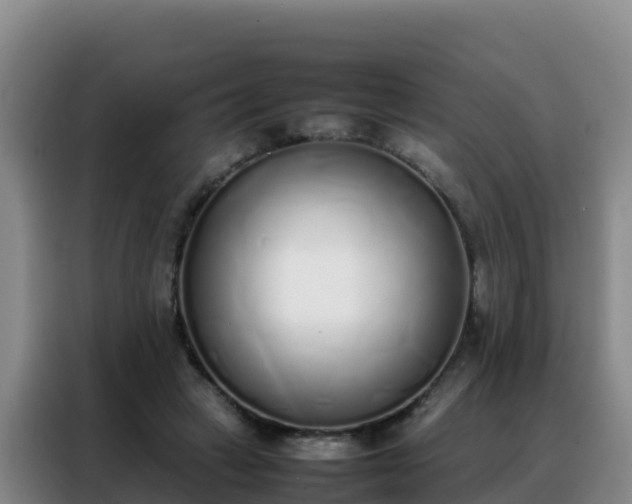 X0000088150449200705211159