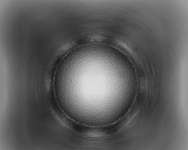 X0000088150451200705211159