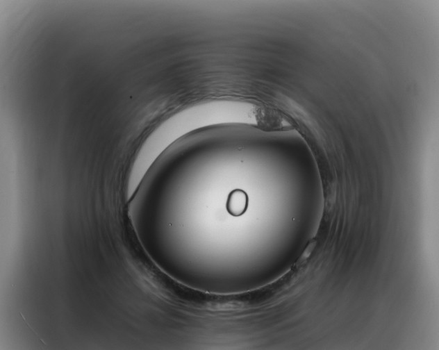 X0000088150452200705211159