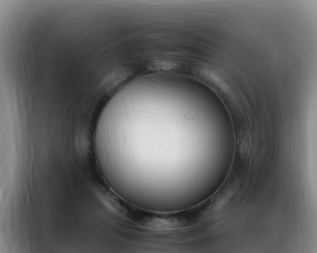 X0000088150455200705211159