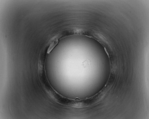 X0000088150456200705211159