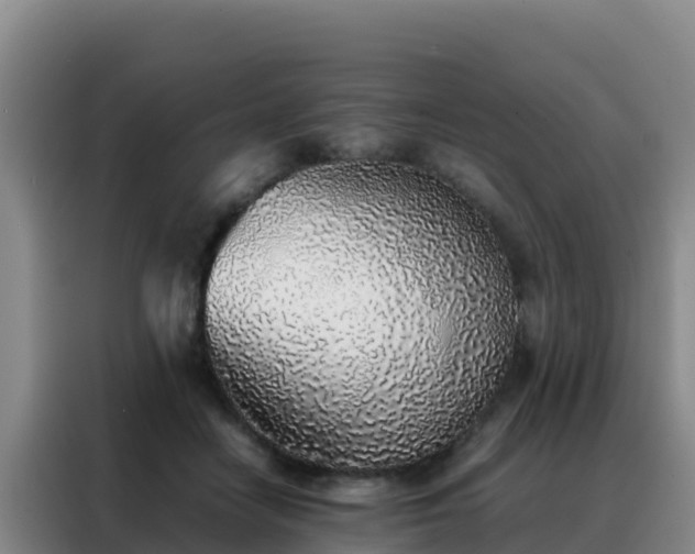 X0000088150458200705211159