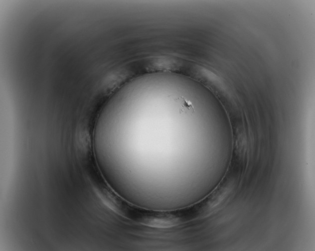 X0000088150459200705211159