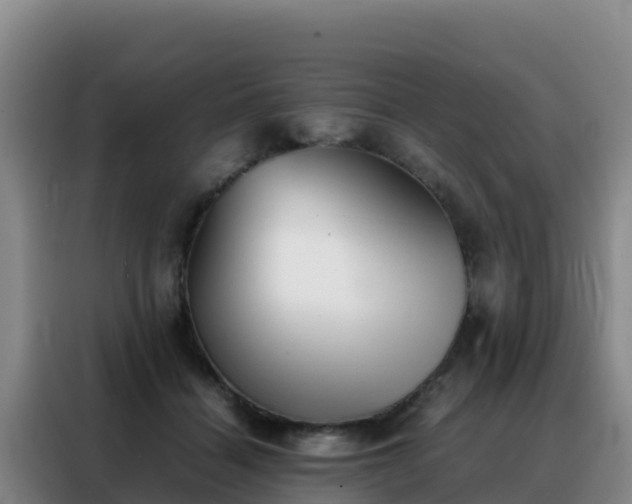 X0000088150460200705211159