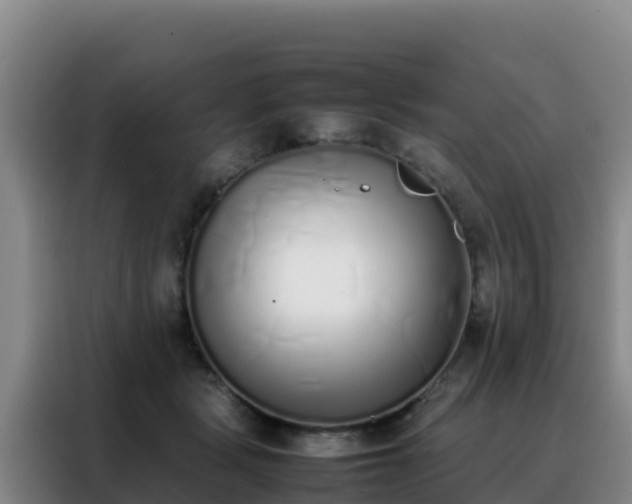 X0000088150461200705211159