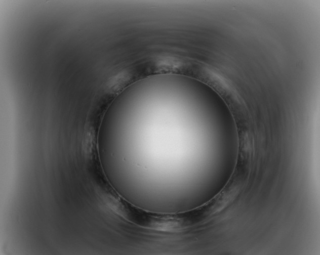 X0000088150463200705211159