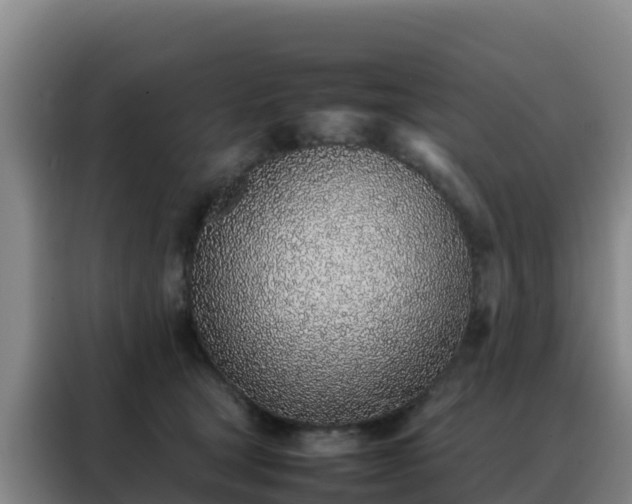 X0000088150465200705211200