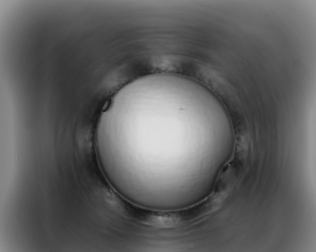 X0000088150466200705211200