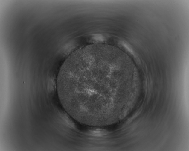 X0000088150467200705211200