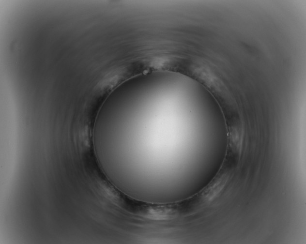 X0000088150470200705211200