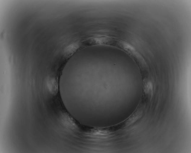 X0000088150471200705211200