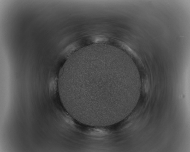 X0000088150475200705211200