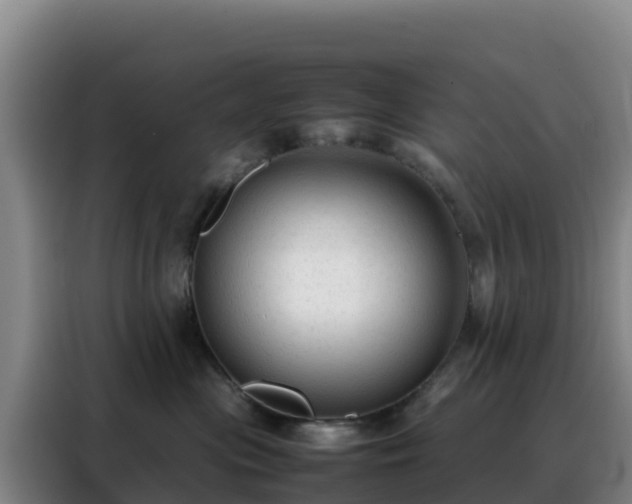 X0000088150477200705211200