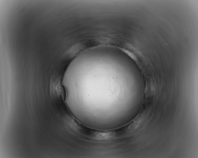 X0000088150479200705211200