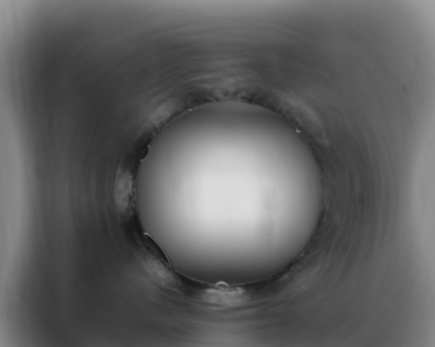 X0000088150480200705211200